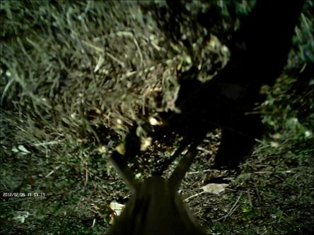 20140927_BigBertha2_1379