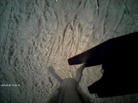 20140927_BigBertha1_1387